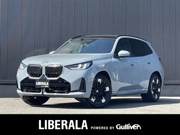 2024 BMW X3 20d xDrive M