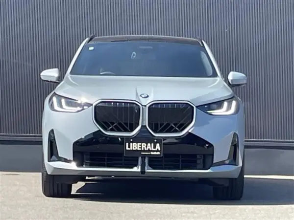 2024 Bmw X3 — photo 2 | Tuminion Kenya