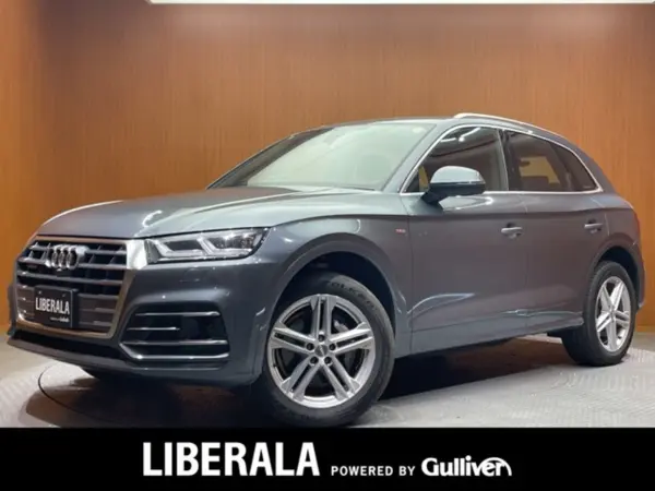 Audi AUDI Q5 2019