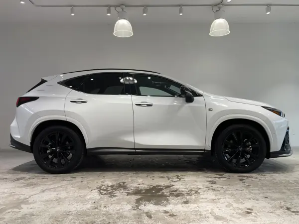 2023 Lexus Nx — photo 9 | Tuminion Kenya