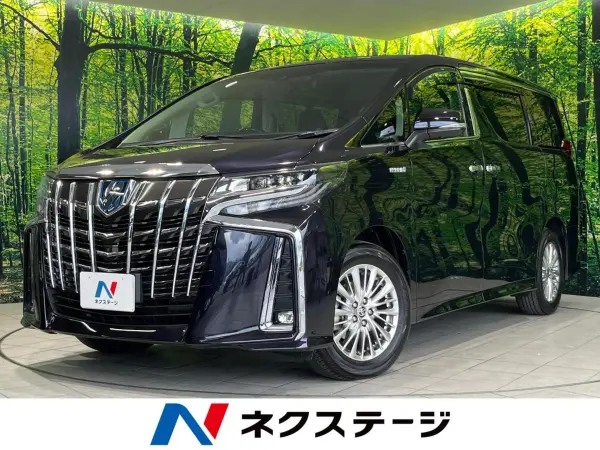2019 Toyota Alphard — photo 1