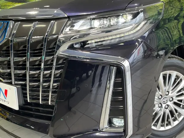 2019 Toyota Alphard — photo 8 | Tuminion Kenya
