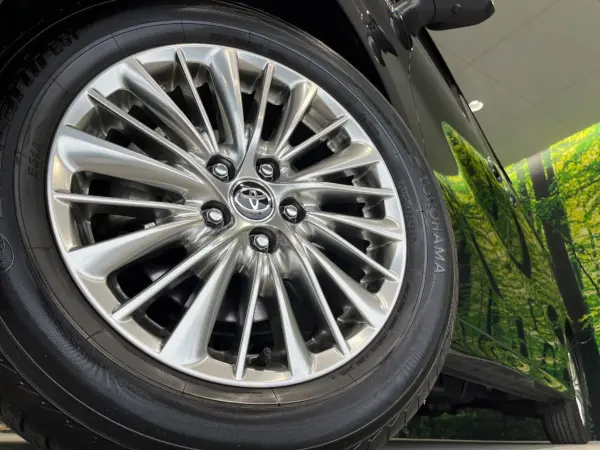 2019 Toyota Alphard — photo 9 | Tuminion Kenya