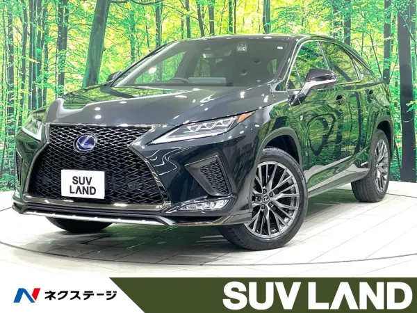 2022 Lexus Rx — photo 1