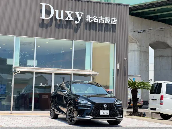 2025 Lexus Rx — photo 8 | Tuminion Kenya