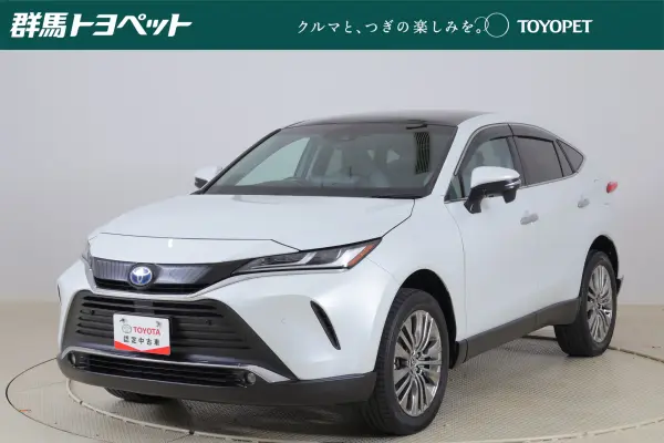 2023 Toyota Harrier — photo 1