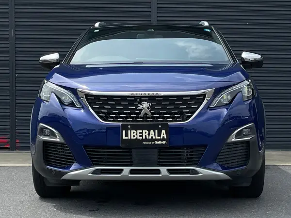 2018 Peugeot 3008 — photo 9 | Tuminion Kenya