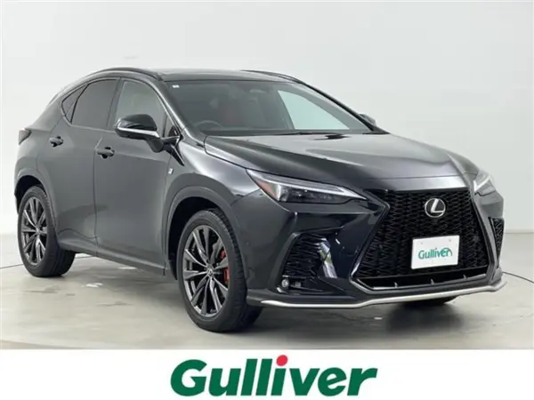 2024 Lexus Nx — photo 1