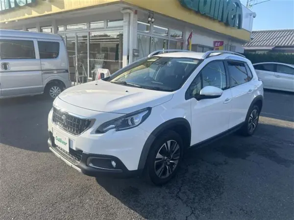 2018 Peugeot 2008 — photo 9 | Tuminion Kenya