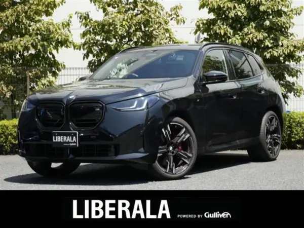 2025 Bmw X3 — photo 1