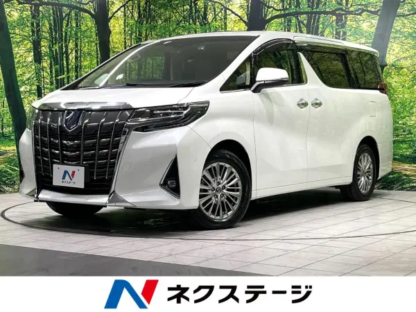 2021 Toyota Alphard — photo 1