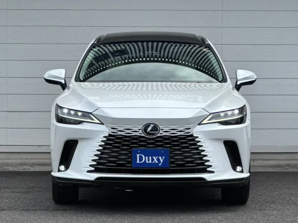 2025 Lexus Rx — photo 8 | Tuminion Kenya