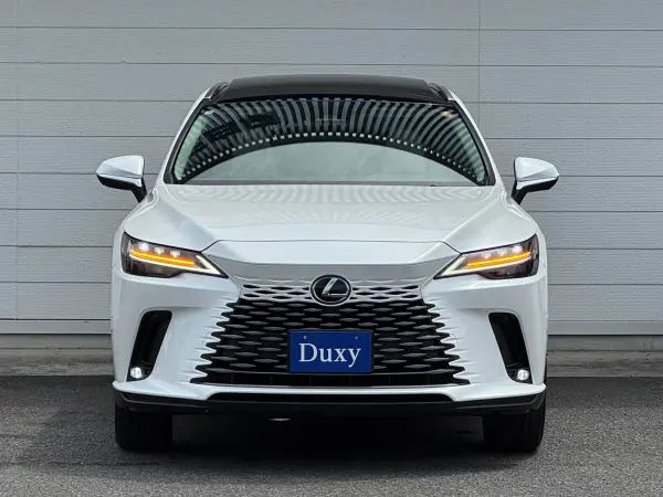 2025 Lexus Rx — photo 9 | Tuminion Kenya