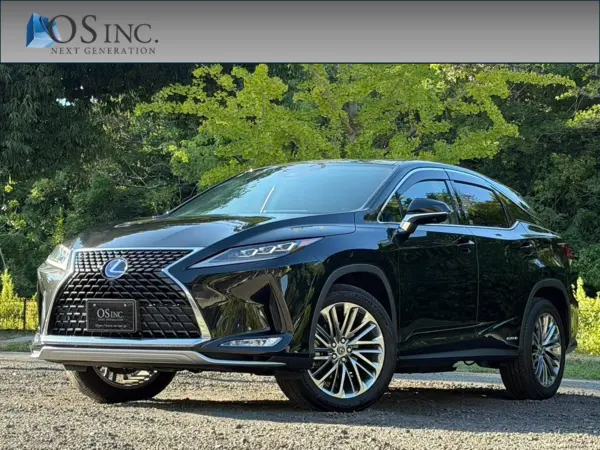 2021 Lexus Rx — photo 1