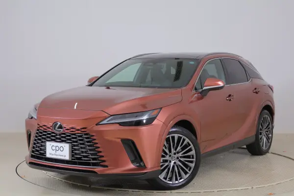 2024 Lexus Rx — photo 1