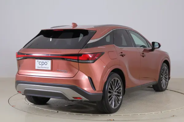 2024 Lexus Rx — photo 2 | Tuminion Kenya