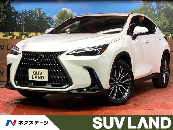 2023 Lexus Nx — photo 1