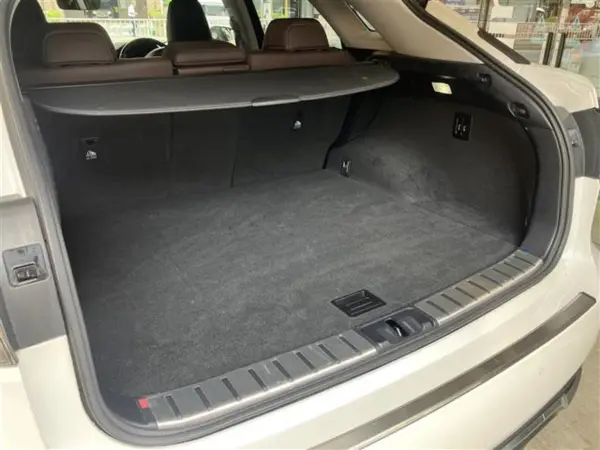 2021 Lexus Rx — photo 7 | Tuminion Kenya