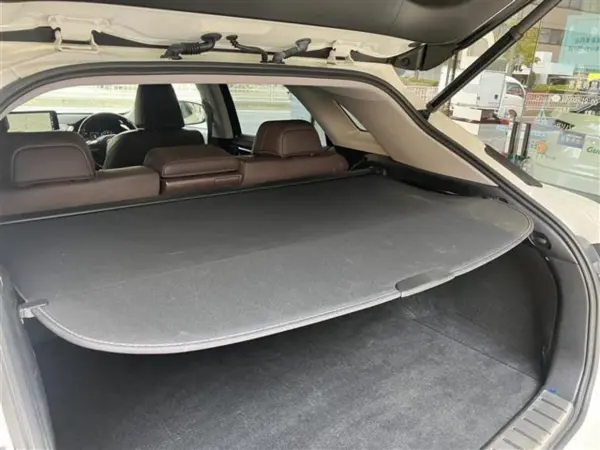 2021 Lexus Rx — photo 8 | Tuminion Kenya