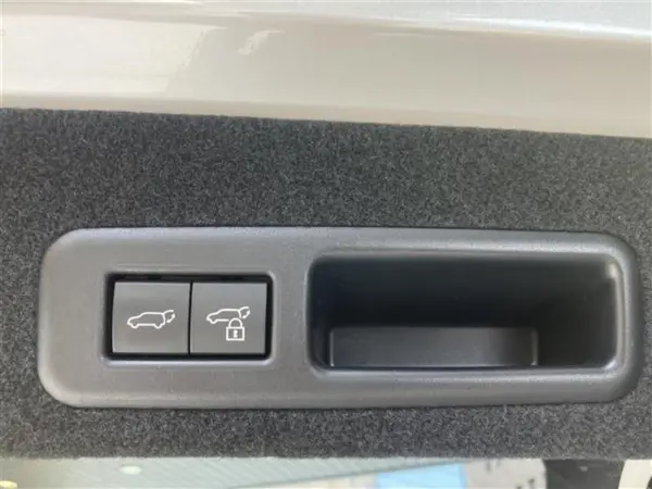 2021 Lexus Rx — photo 9 | Tuminion Kenya