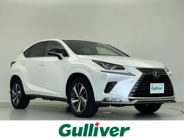 2021 Lexus Nx — photo 1