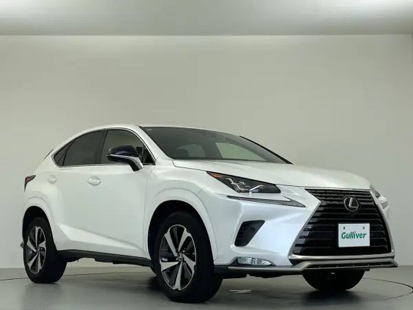 2021 Lexus Nx — photo 9 | Tuminion Kenya