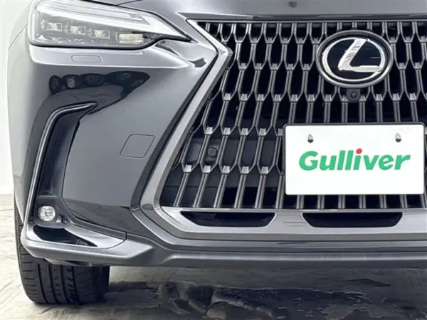 2022 Lexus Nx — photo 8 | Tuminion Kenya