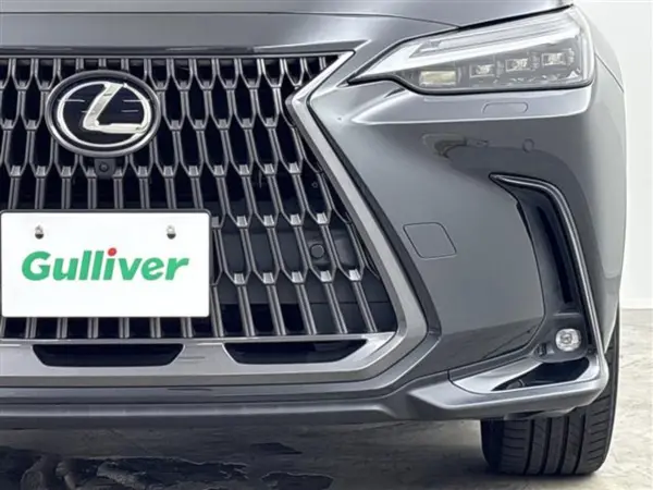 2022 Lexus Nx — photo 9 | Tuminion Kenya