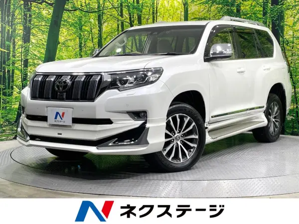 2019 Toyota Landcruiser Prado — photo 1
