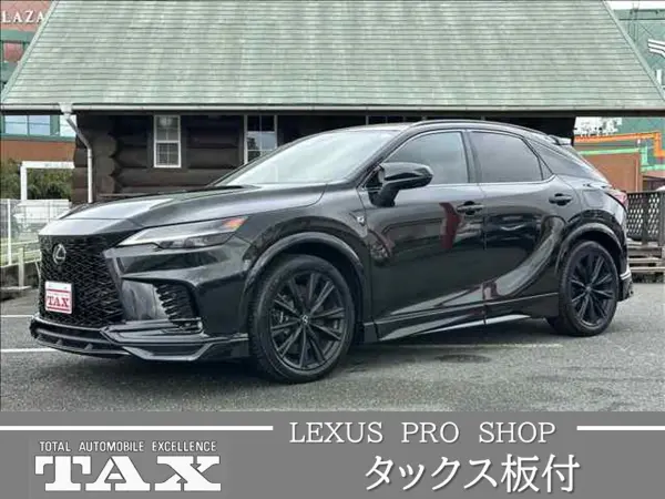 2024 Lexus Rx — photo 1