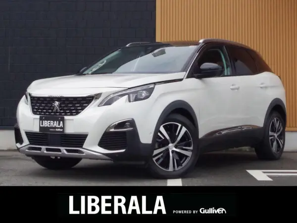 2019 Peugeot 3008 — photo 1