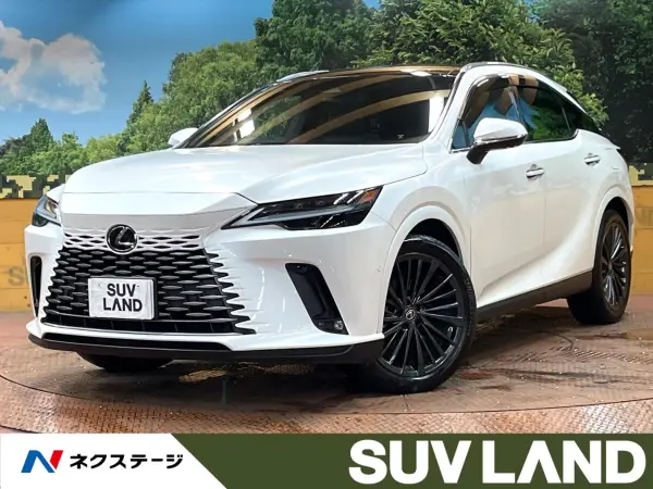 2023 Lexus Rx — photo 1