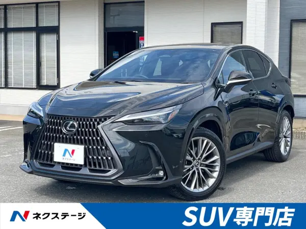 Lexus NX 250 Version L — 2024, 17,000km, for sale in Kenya