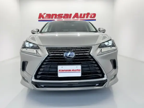 2019 Lexus Nx — photo 2 | Tuminion Kenya