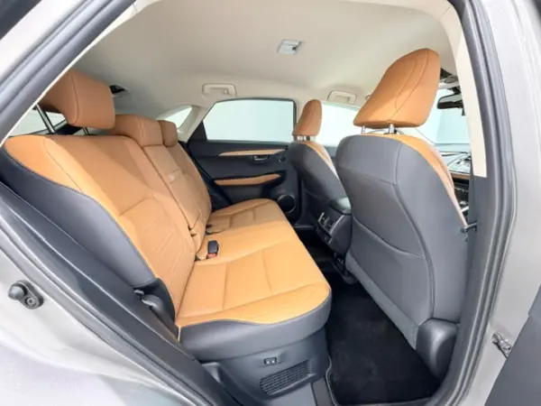 2019 Lexus Nx — photo 9 | Tuminion Kenya