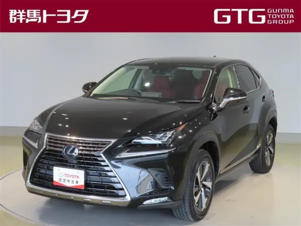 2020 Lexus NX 300h I Package