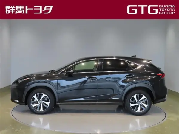 2020 Lexus Nx — photo 2 | Tuminion Kenya