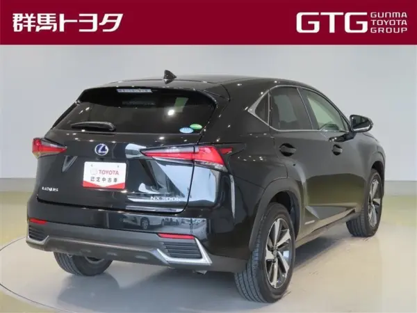 2020 Lexus Nx — photo 3 | Tuminion Kenya
