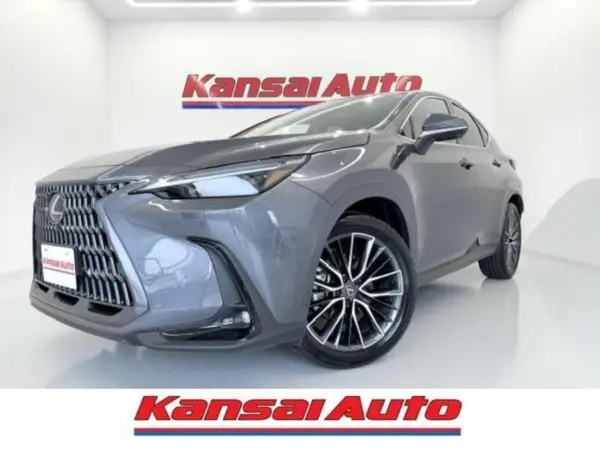 2025 Lexus Nx — photo 1