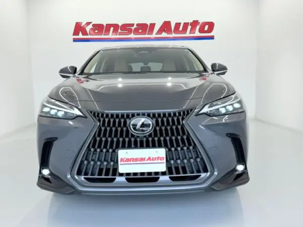 2025 Lexus Nx — photo 2 | Tuminion Kenya