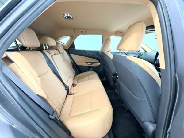 2025 Lexus Nx — photo 9 | Tuminion Kenya