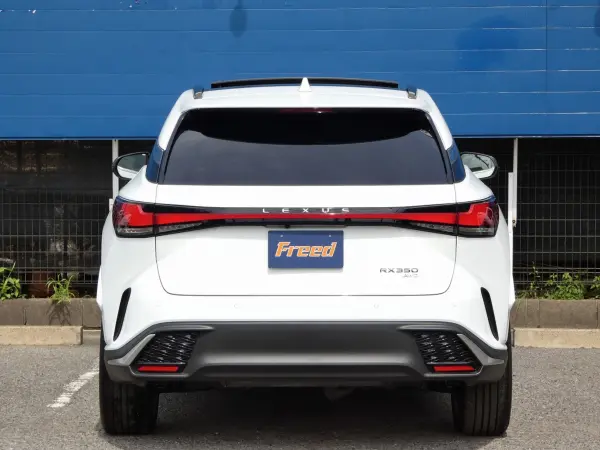 2025 Lexus Rx — photo 8 | Tuminion Kenya