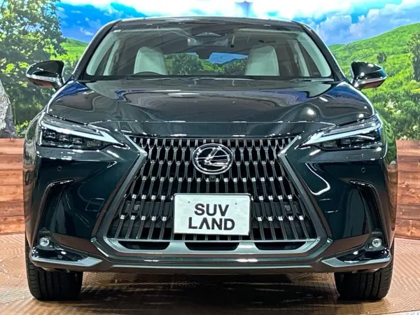 2026 Lexus Nx — photo 8 | Tuminion Kenya