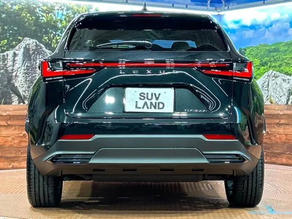 2026 Lexus Nx — photo 9 | Tuminion Kenya