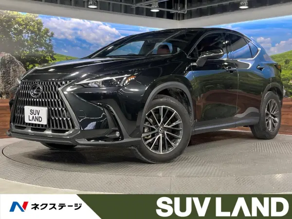 2023 Lexus Nx — photo 1