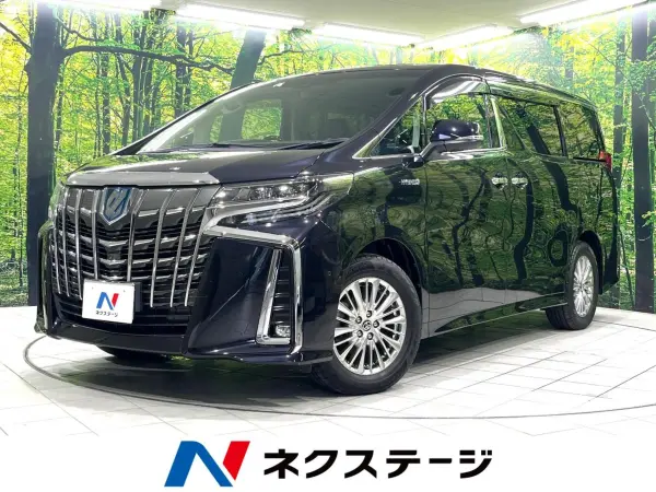 2021 Toyota Alphard — photo 1