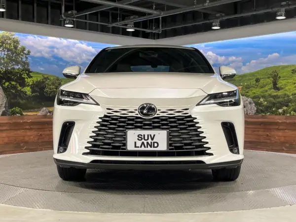 2024 Lexus Rx — photo 9 | Tuminion Kenya