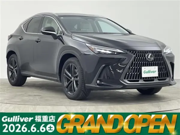 2024 Lexus Nx — photo 1