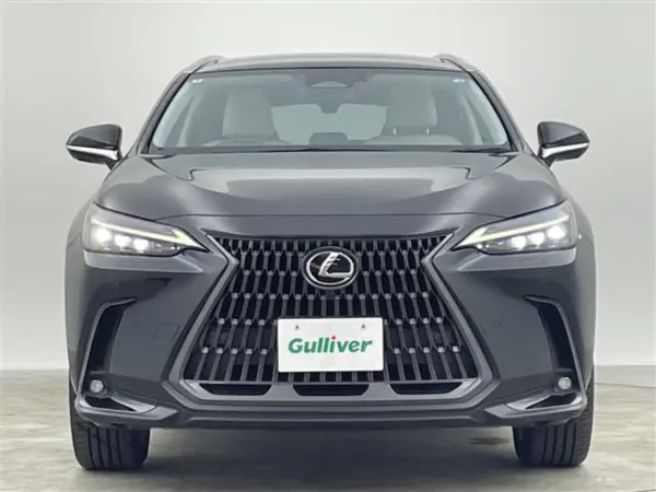 2024 Lexus Nx — photo 9 | Tuminion Kenya