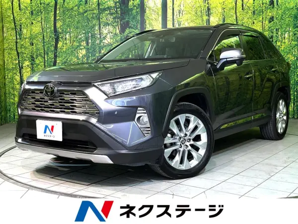 2019 Toyota  Rav4 — photo 1